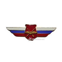 №150 Должностной знак начальника (руководителя) воинского формирования, ведущего научно-исследовательскую (испытательную) деятельность войск беспилотных систем Вооруженных Сил Российской Федерации